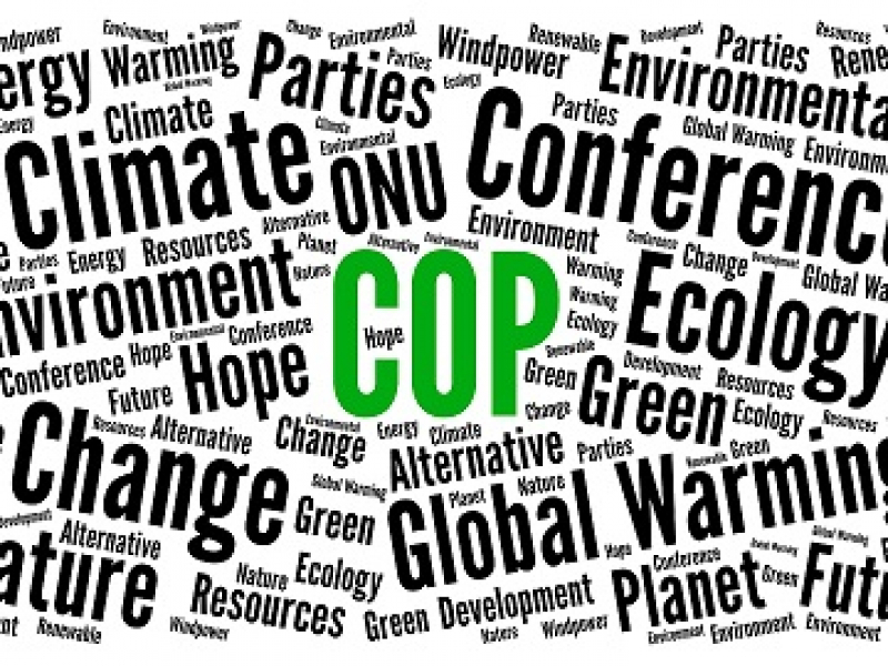 COP28: un passo avanti importante, ma non decisivo